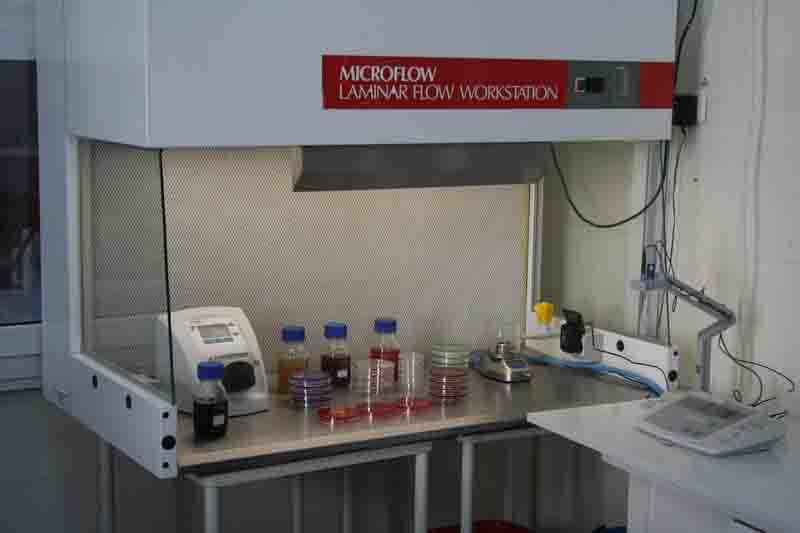Laborator Microbiologie, Serologie, Parazitologie