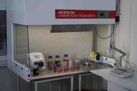 Reponsive image